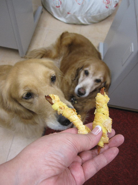 ファイル 1287-1.jpg