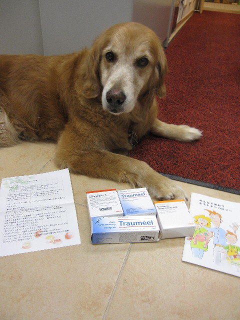 ファイル 1287-4.jpg