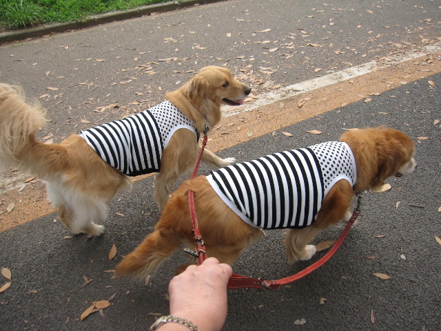 ファイル 1288-1.jpg