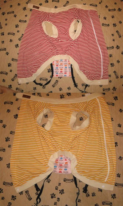 ファイル 129-1.jpg