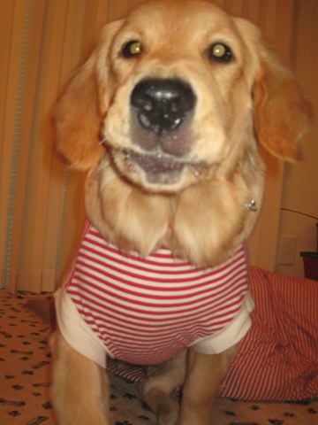 ファイル 129-2.jpg