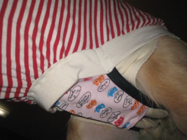 ファイル 129-3.jpg