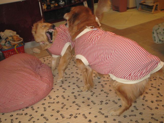 ファイル 129-4.jpg