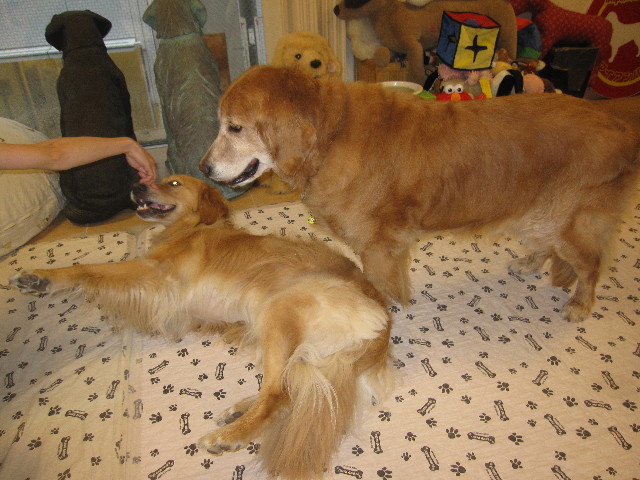 ファイル 1290-1.jpg