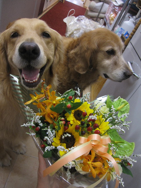 ファイル 1290-4.jpg