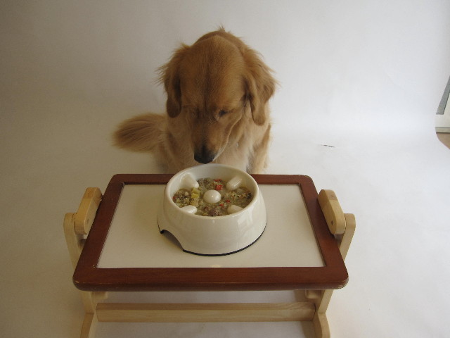 ファイル 1293-1.jpg