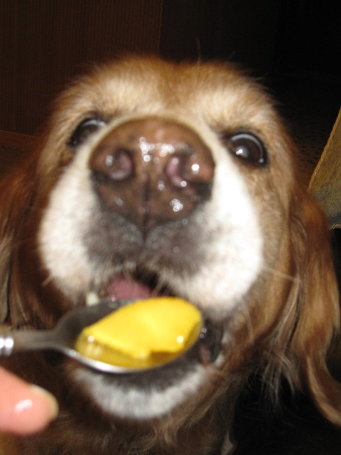 ファイル 1293-4.jpg