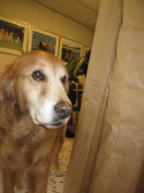 ファイル 1295-4.jpg