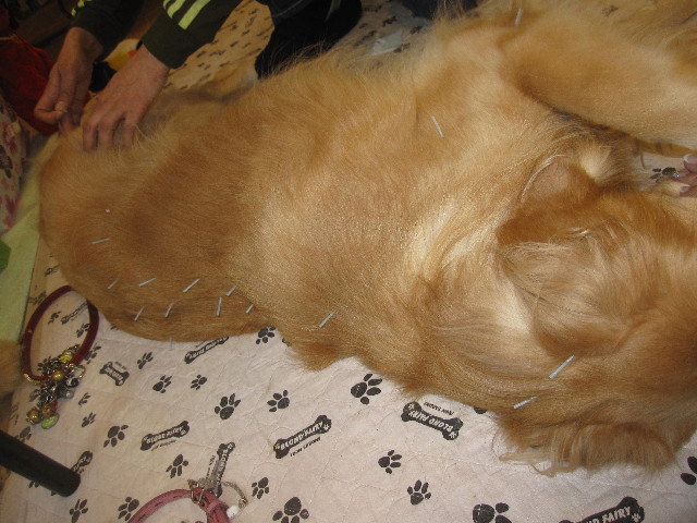 ファイル 1295-5.jpg