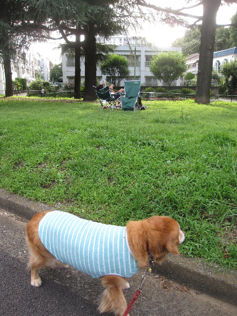 ファイル 1296-1.jpg