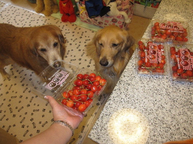 ファイル 1296-4.jpg