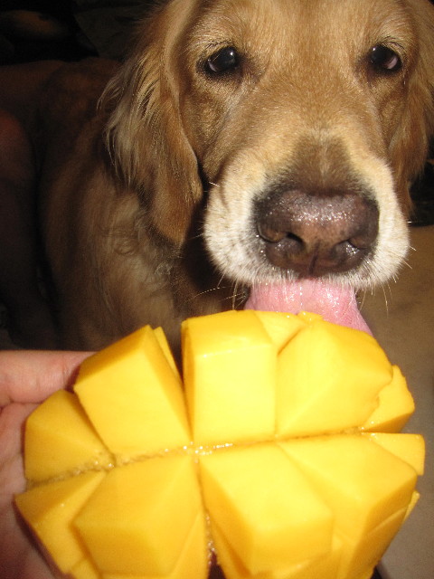 ファイル 1296-5.jpg