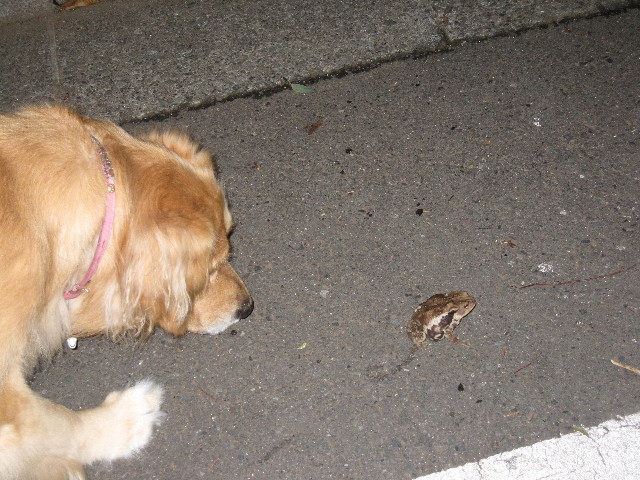 ファイル 1297-4.jpg