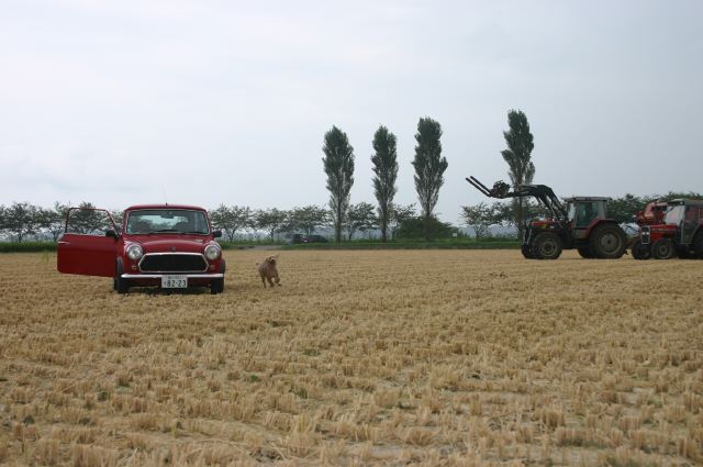 ファイル 130-1.jpg