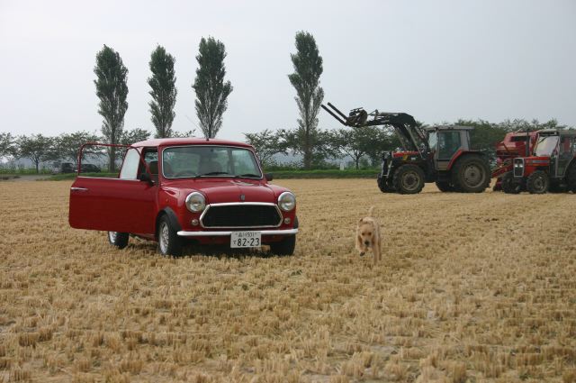 ファイル 130-2.jpg