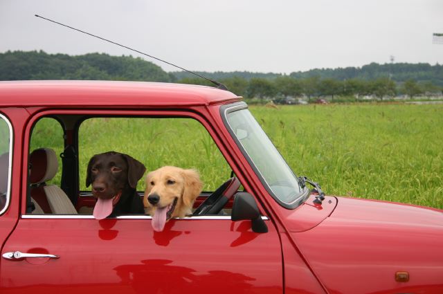 ファイル 130-3.jpg