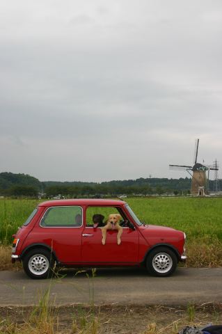 ファイル 130-4.jpg