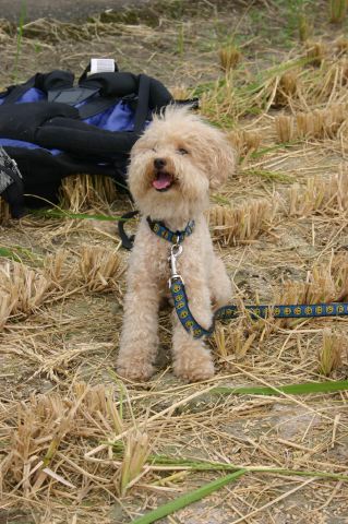 ファイル 130-5.jpg