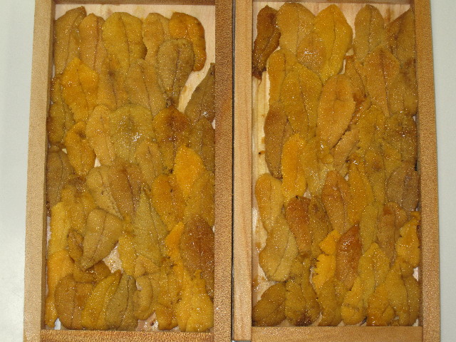 ファイル 1300-1.jpg