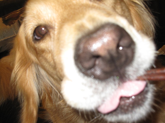 ファイル 1300-3.jpg