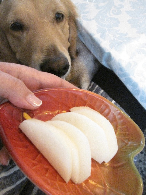 ファイル 1305-5.jpg