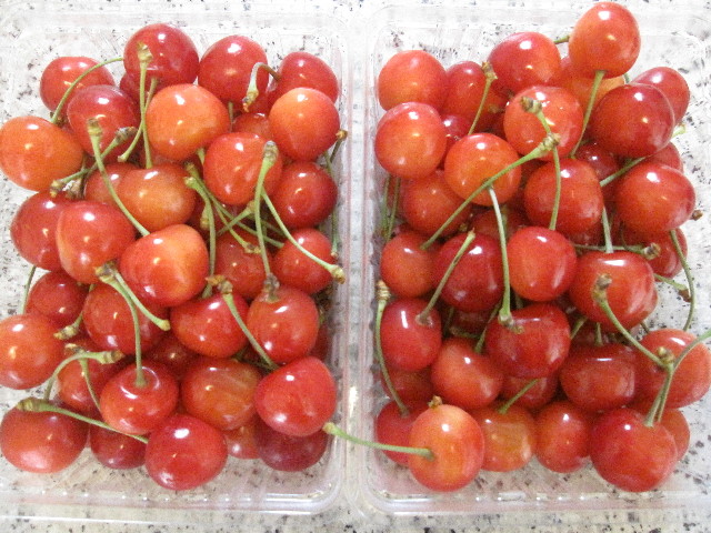 ファイル 1306-1.jpg