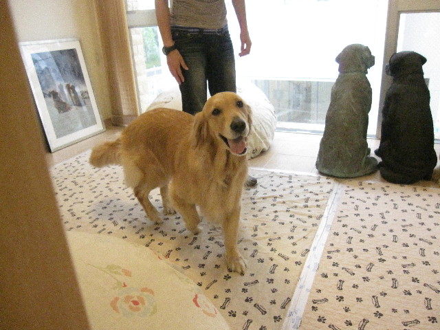 ファイル 1307-1.jpg