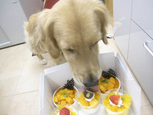 ファイル 1307-3.jpg