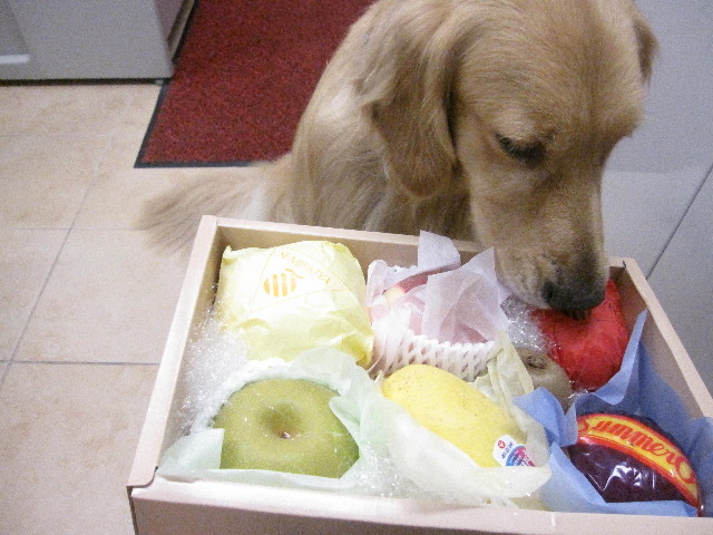 ファイル 1307-4.jpg