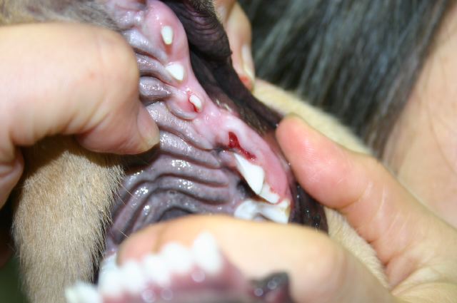 ファイル 131-1.jpg