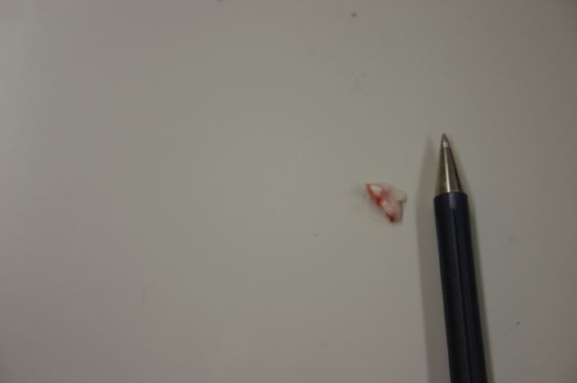 ファイル 131-2.jpg