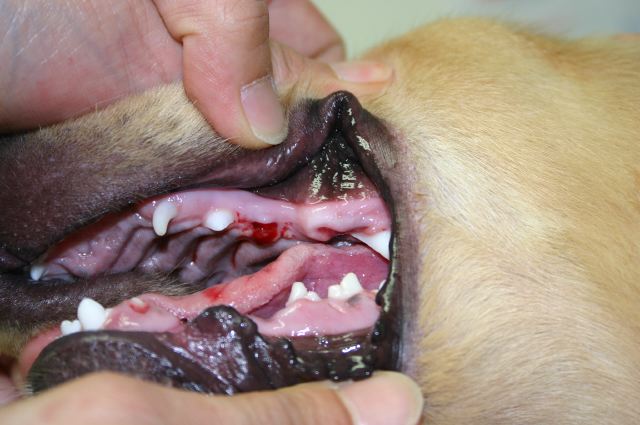 ファイル 131-3.jpg