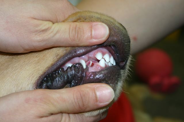 ファイル 131-4.jpg