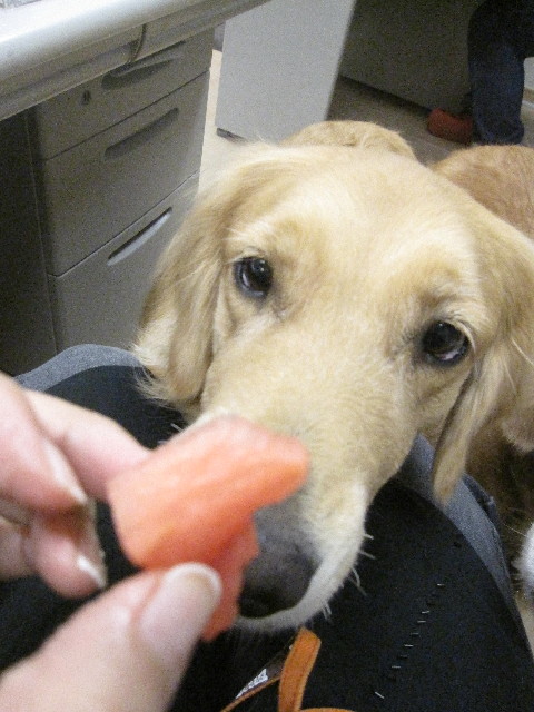 ファイル 1310-3.jpg