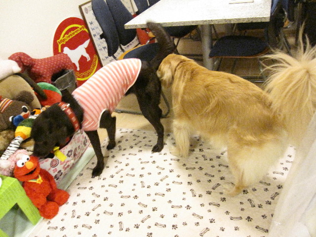 ファイル 1312-2.jpg