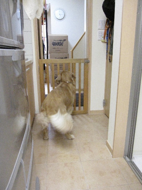 ファイル 1313-4.jpg