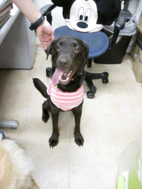 ファイル 1313-5.jpg