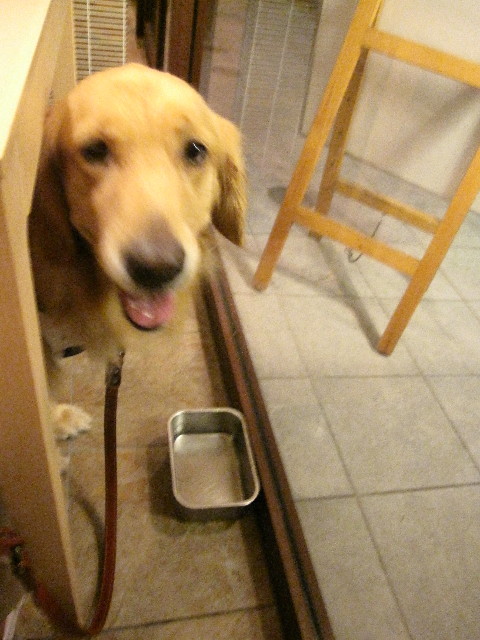 ファイル 1314-3.jpg