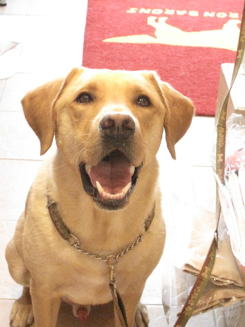 ファイル 1315-4.jpg