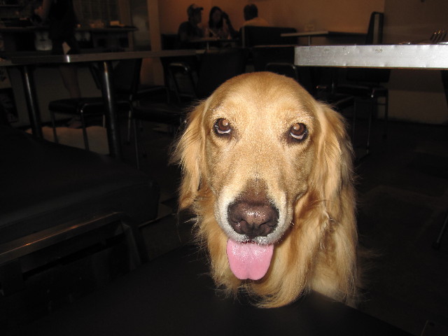 ファイル 1319-1.jpg