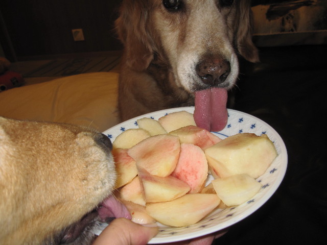 ファイル 1319-2.jpg