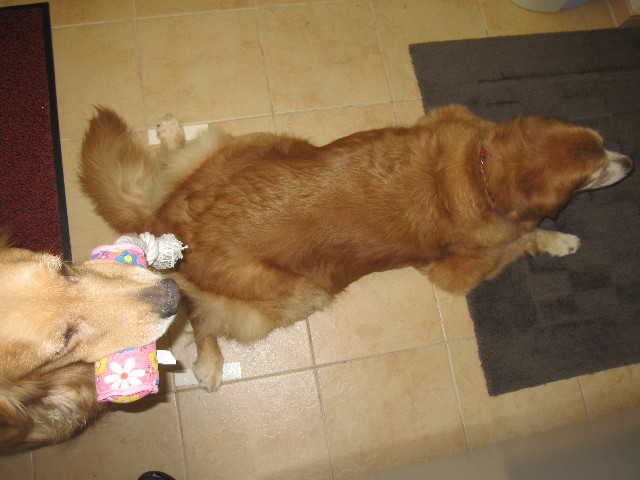 ファイル 1319-3.jpg