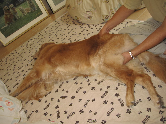 ファイル 1319-4.jpg