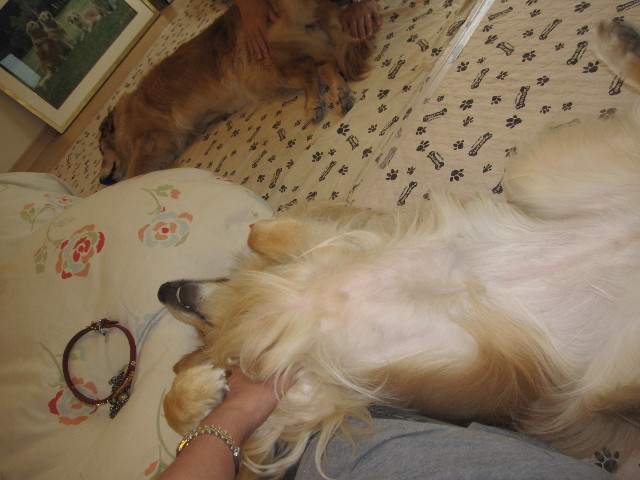 ファイル 1319-5.jpg