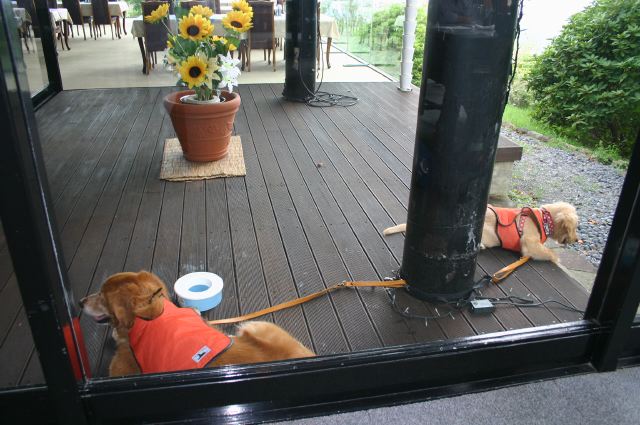 ファイル 132-2.jpg