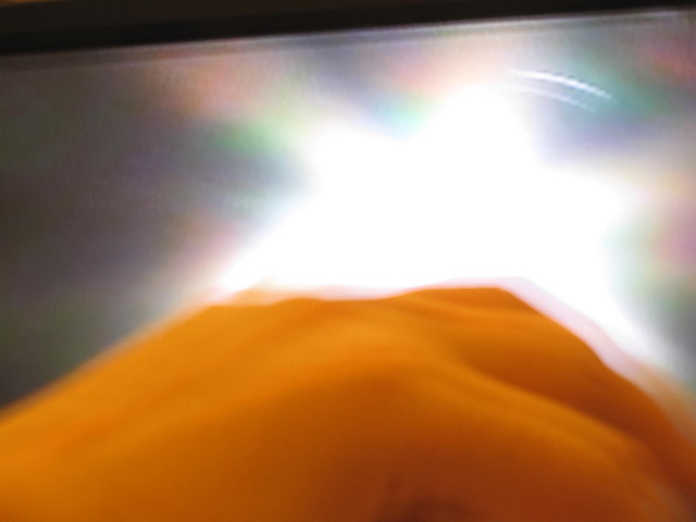 ファイル 1321-1.jpg