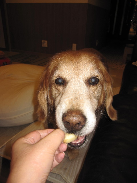 ファイル 1321-4.jpg