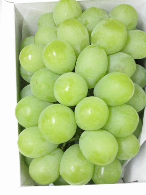 ファイル 1322-2.jpg