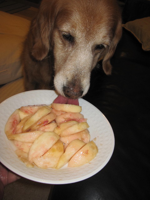 ファイル 1322-4.jpg