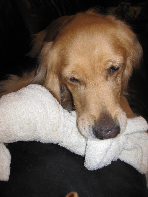 ファイル 1323-5.jpg